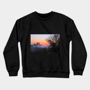 South African Sunrise in Kruger National Park Crewneck Sweatshirt